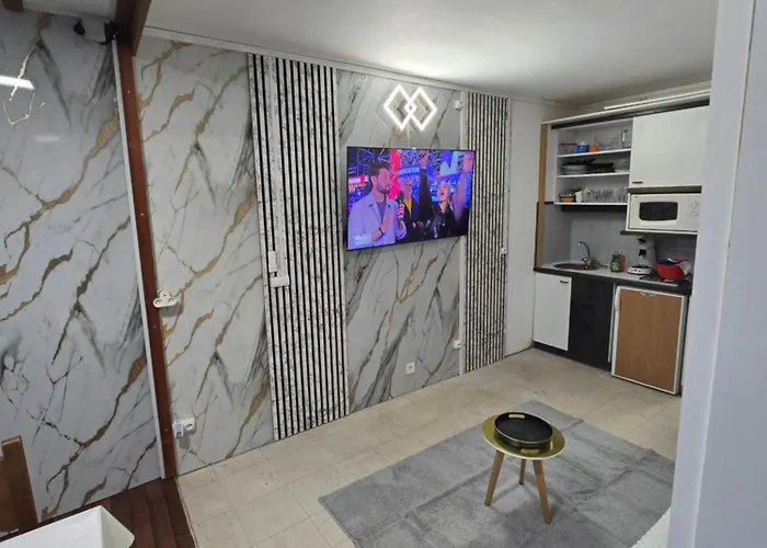 Escapade Marine Sur L Ile Des Pecheurs Cap D آجد