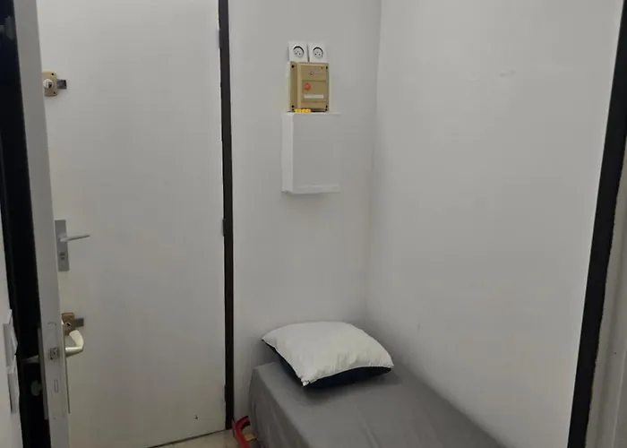 Escapade Marine Sur L Ile Des Pecheurs Cap D