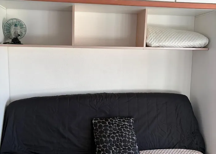 Escapade Marine Sur L Ile Des Pecheurs Cap D آجد